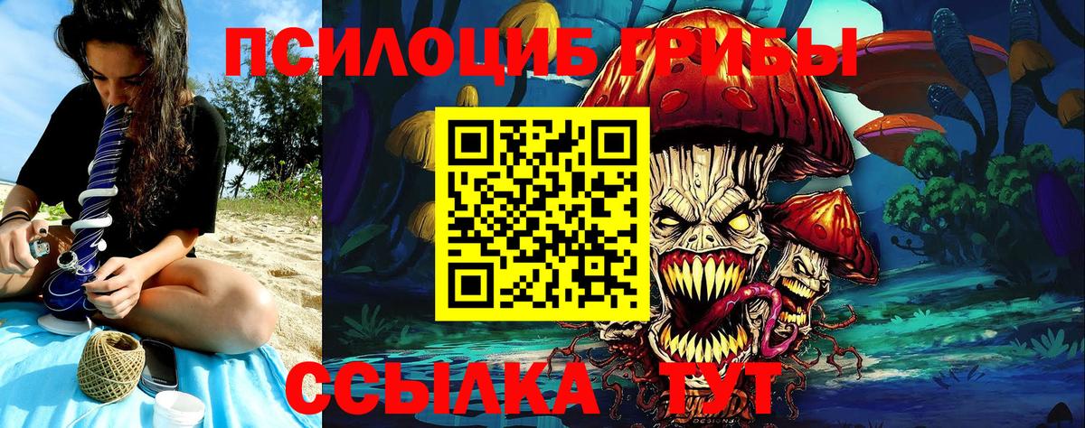 Псилоцибиновые грибы мухоморы Кирово-Чепецк